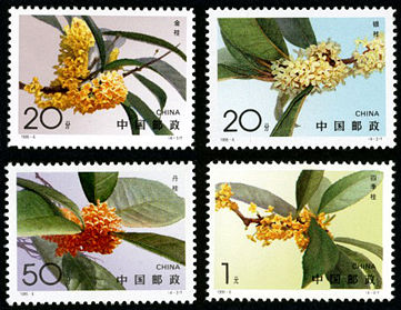 1995-6 《桂花》特种邮票