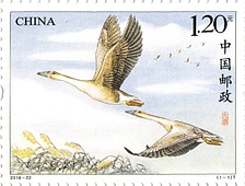 2018-22 《大雁》特种邮票